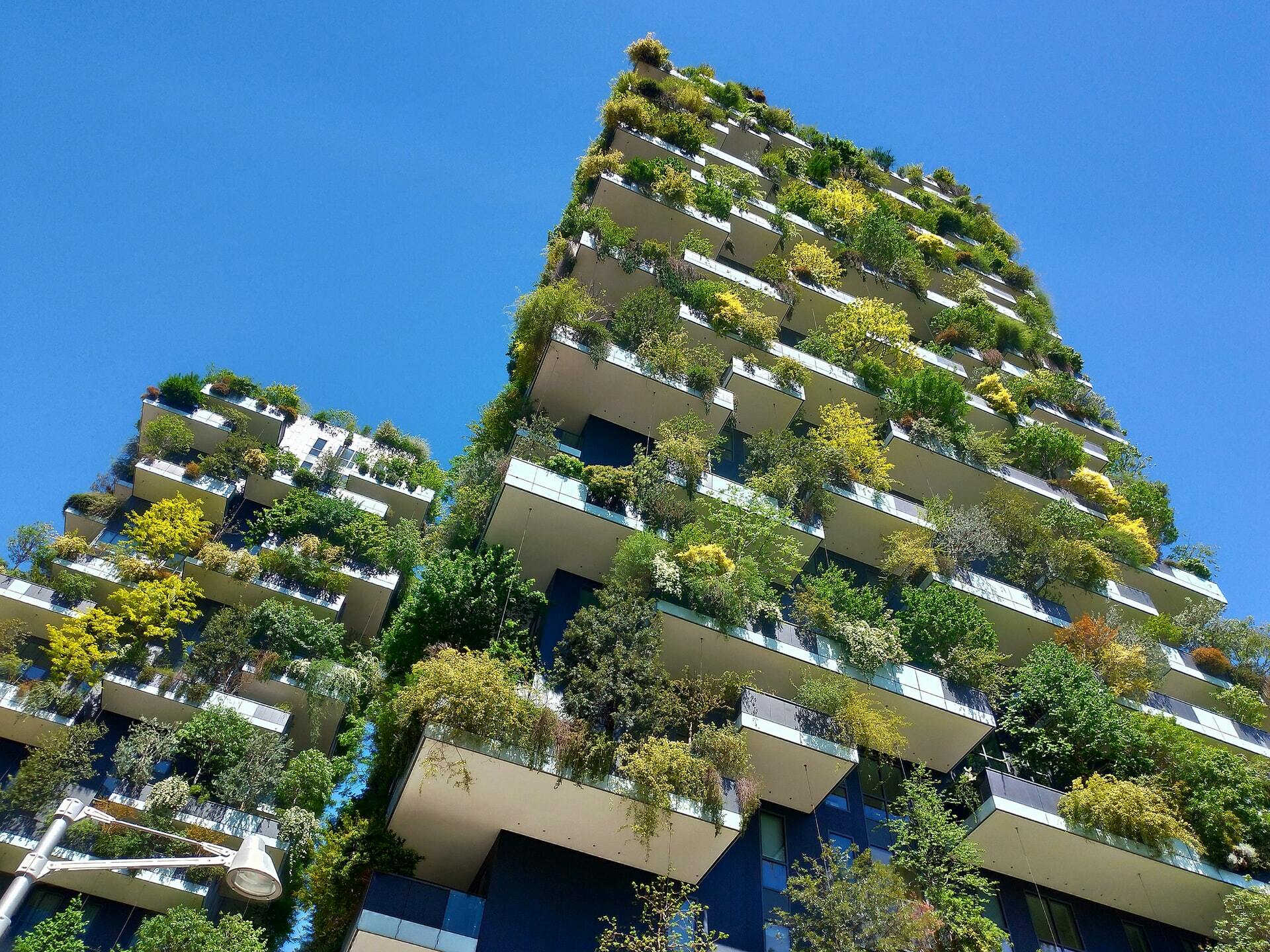 2024 Trends: Biophilic Design / Glass Canvas